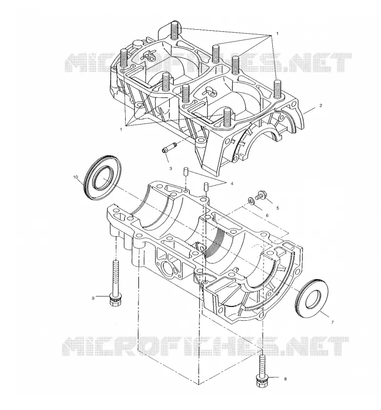 CARTER 