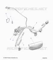ELETTRICO, HARNESS, MAIN WIRE
