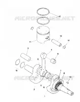 ALBERO MOTORE AND PISTON ASSEMBLY (4913491349032A)