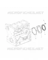ENGINE, ALBERO MOTORE OIL SEAL FLANGE