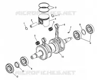 PISTONEEE   ALBERO MOTORE 600 RMK 0980958 AND EUROPEAN 600 RMK E980958 (4944634463C009)