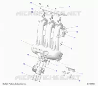 ENGINE, INTAKE MANIFOLD, CORPO FARFALLATO, FUEL RAIL