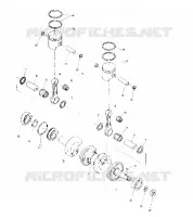PISTON AND ALBERO MOTORE (4909530953019A)