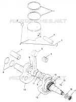 ALBERO MOTORE AND PISTONEE TRAIL BOSS W968527 (4935883588C008)