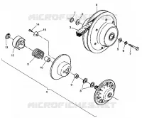 FRIZIONE DRIVEN ASSEMBLY 6X6 350L W938739 (4924062406032A)