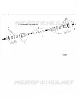 DRIVE TRAIN, POSTERIORE ALBERO