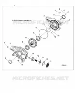 DRIVE TRAIN, POSTERIORE GEARCASE INTERNALS