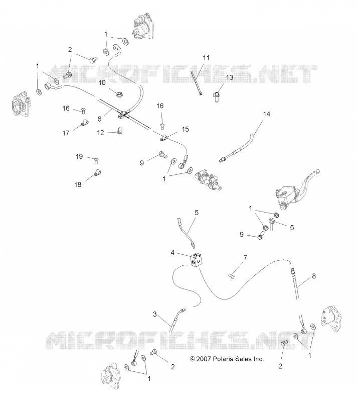 LINEE FRENO