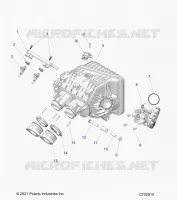 ENGINE, INTAKE INTAKE MANIFOLD, CORPO FARFALLATO, FUEL RAIL- Z24NME99NM (C702910)