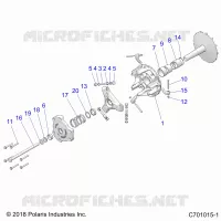 TRASMISSIONE, PRIMARY CLUTCH