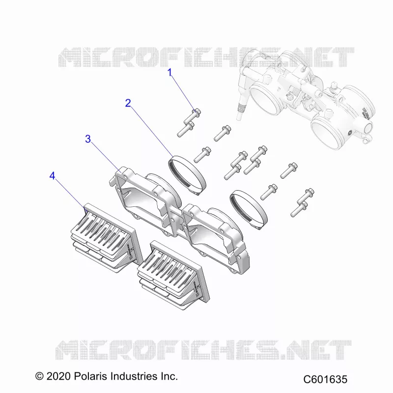 ENGINE, REED VALVE AND CORPO FARFALLATO ADAPTOR