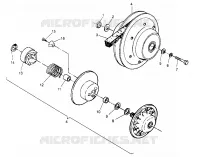 FRIZIONE DRIVEN ASSEMBLY 6x6 400L W948740 (4926802680C008)