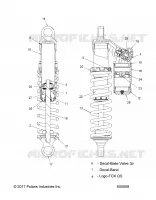 SUSPENSION, SHOCK ANTERIORE (LE)