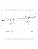 DRIVE TRAIN, HALF POSTERIORE ALBERO