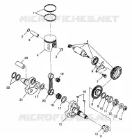 PISTONEEE   ALBERO MOTORE 6X6 400L