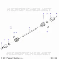 DRIVE TRAIN, ANTERIORE ALBERO
