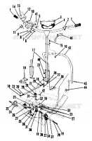 TIMONE (4910941094013A)