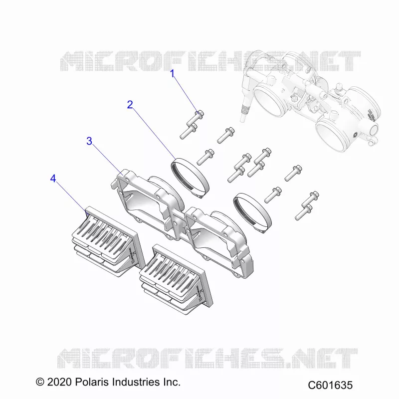 ENGINE, REED VALVE AND CORPO FARFALLATO ADAPTOR -S24TDP8RS (C601635)