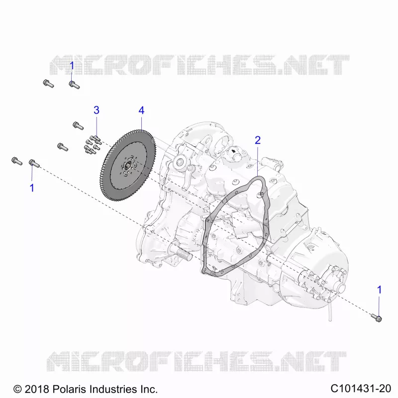 TRASMISSIONE, DRIVE COUPLER