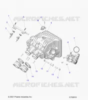 ENGINE, INTAKE MANIFOLD, CORPO FARFALLATO, FUEL RAIL