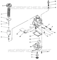 CARBURATORE Trail Boss / W928527 (4922892289036A)