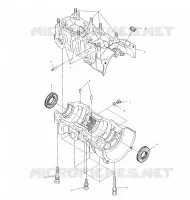 CARTER