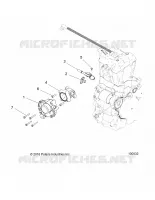 ENGINE, CORPO FARFALLATO AND FUEL RAIL