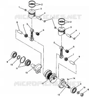 PISTONEEE   ALBERO MOTORE LITE GT 0943133 (49250125010034)