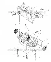 CARTER 500 and 500 Classic (4915411541032A)