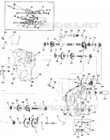 FRENO   carter della catena WideTrak (4919301930013A)