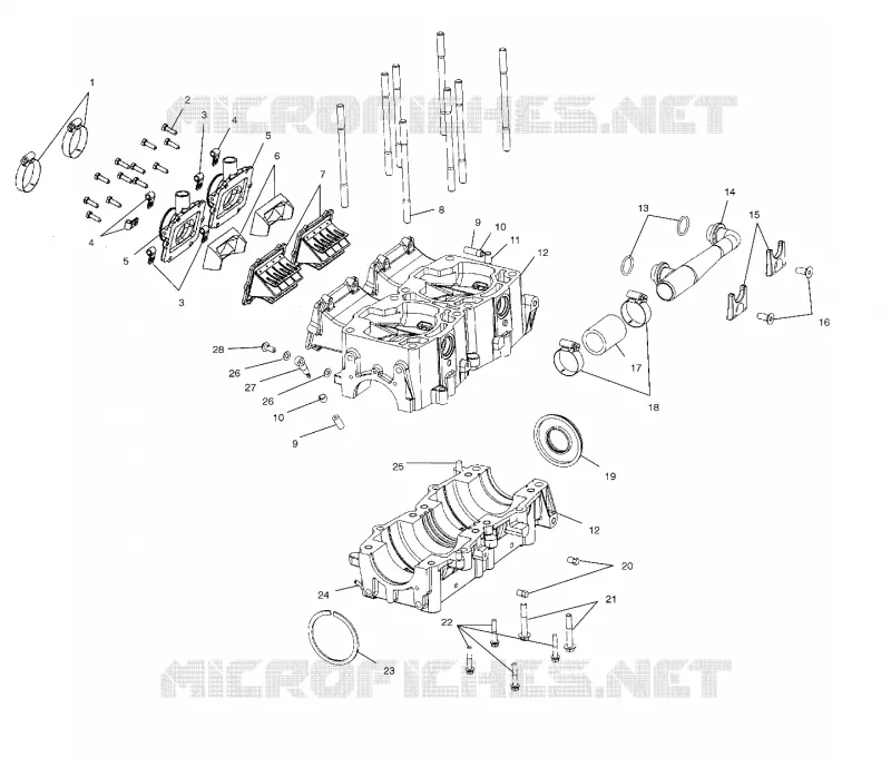 CARTER