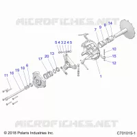 TRASMISSIONE, PRIMARY CLUTCH