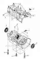 CARTER 500 0972764,  EUROPEAN 500 E972764,  500 SKS 0972564, EUROPEAN 50 (4938393839C014)