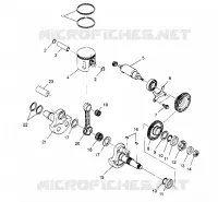 PISTONEEE   ALBERO MOTORE SPORTSMAN 4X4 W948040 (4926842684C013)