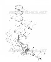 PISTONE AND ALBERO MOTORE STAR (4914151415024A)