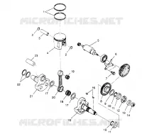 PISTONEEE   ALBERO MOTORE 6X6 400L W948740 (4926802680D007)