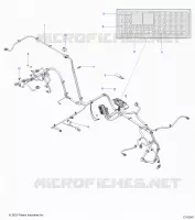 ELETTRICO, WIRE HARNESS