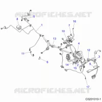 ELETTRICO, HARNESS
