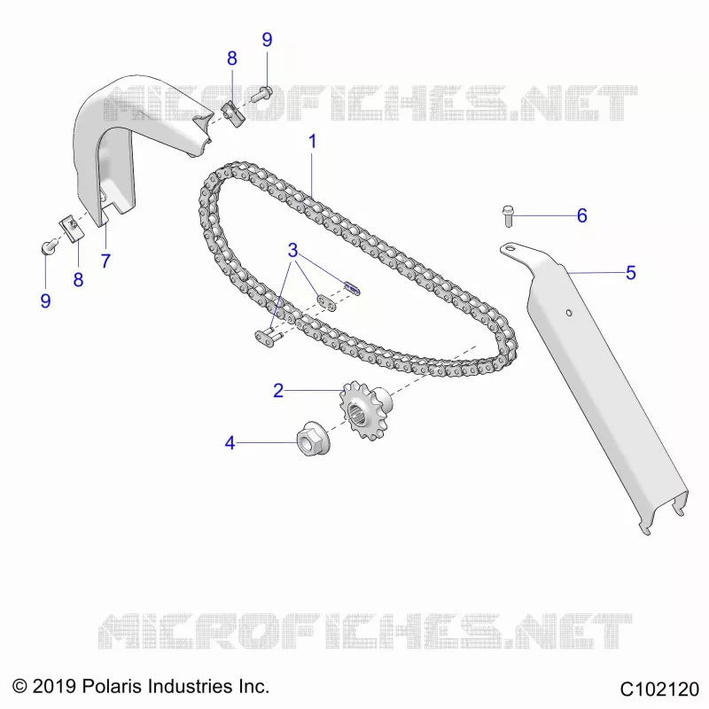 TRASMISSIONE, CHAIN AND GUARDS