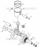 ALBERO MOTORE AND PISTONEE XPLORER 300 W98CC28C (4945264526D001)