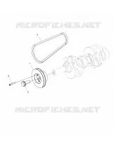 ENGINE, DRIVE PULEGGIA AND DRIVE BELT