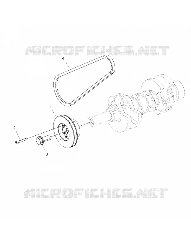 ENGINE, DRIVE PULEGGIA AND DRIVE BELT