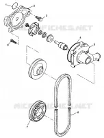 POMPA DELL'ACQUA XLT LTD 0973756 and EUROPEAN XLT LTD E973756 (4937793779C007)