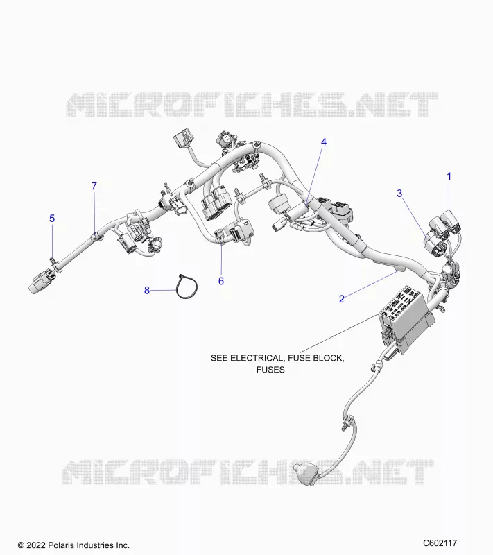 ELETTRICO, WIRE HARNESS, MAIN