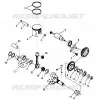 PISTONEEE   ALBERO MOTORE SPORTSMAN 4X4 W968040 (4935943594C013)