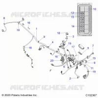 ELETTRICO, HARNESS