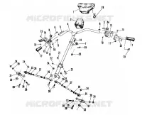 TIMONE (4909520952006A)
