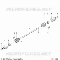 DRIVE TRAIN, ANTERIORE ALBERO