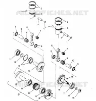 PISTONEEE   ALBERO MOTORE  500 EFI 0952774, EFI SKS 0952574,   EFI SKS PT 09529 (4929052905C013)