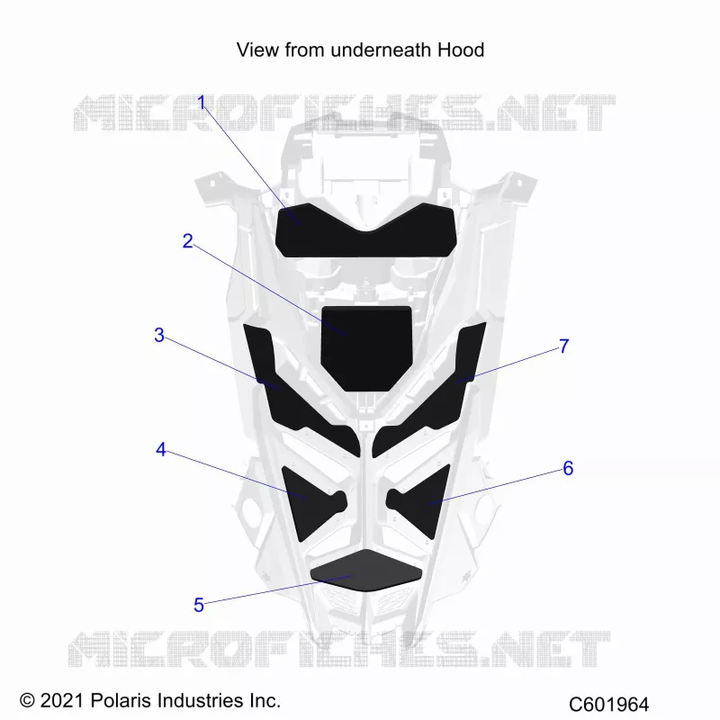 CAPPUCCIO FOAM/SEAL
